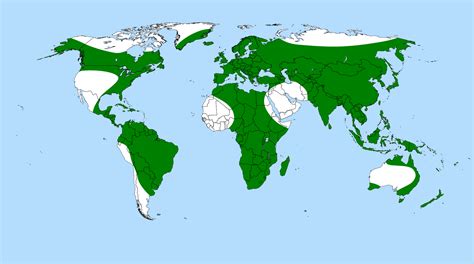 Carnivores Around The World 2025 Latest Episode
