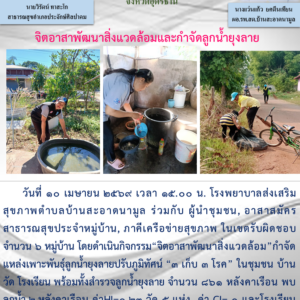 Read more about the article 